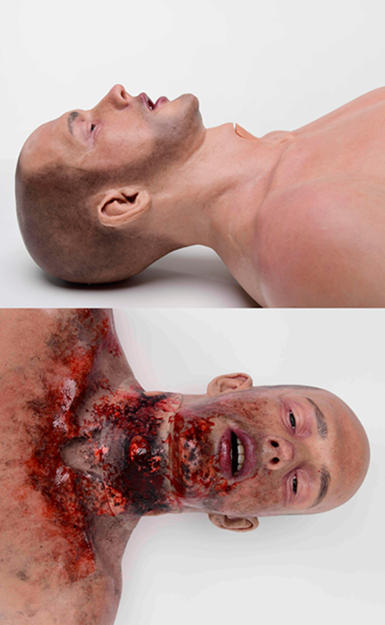 simbodies-2